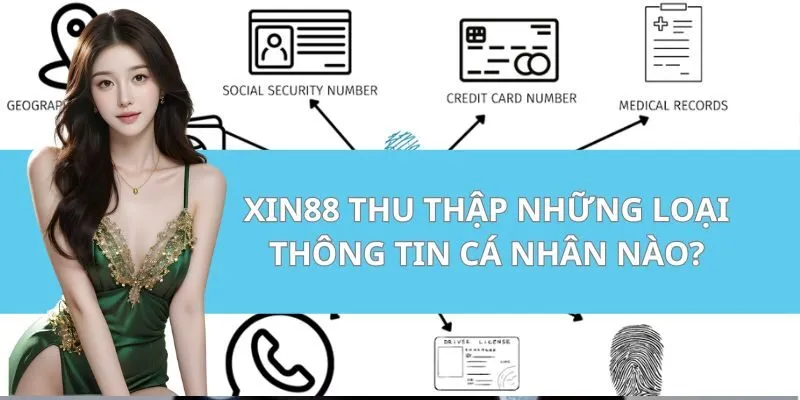 Xin88 thu thập những loại thông tin cá nhân nào?