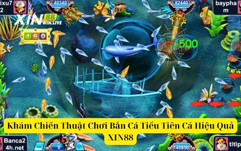 Khám Chiến Thuật Chơi Bắn Cá Tiểu Tiên Cá Hiệu Quả XIN88