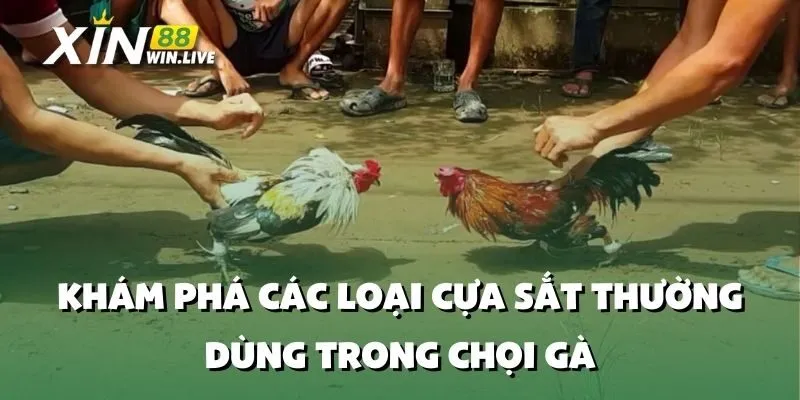 Khám Phá Các Loại Cựa Sắt Thường Dùng Trong Chọi Gà