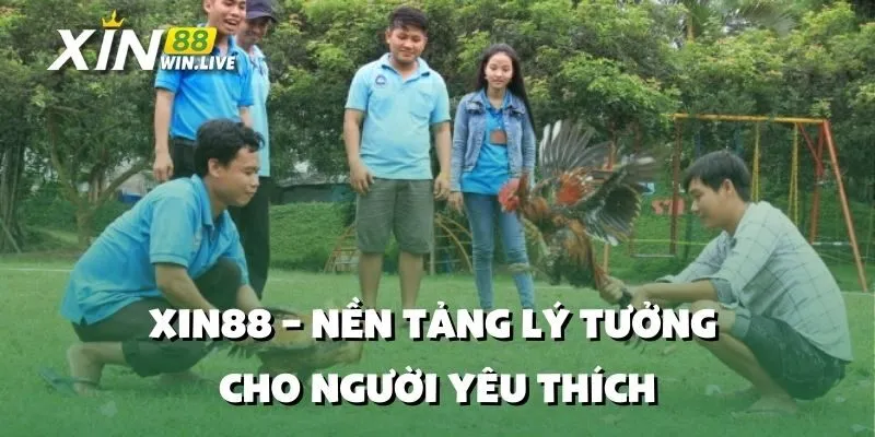 Xin88 – Nền Tảng Lý Tưởng Cho Người Yêu Thích